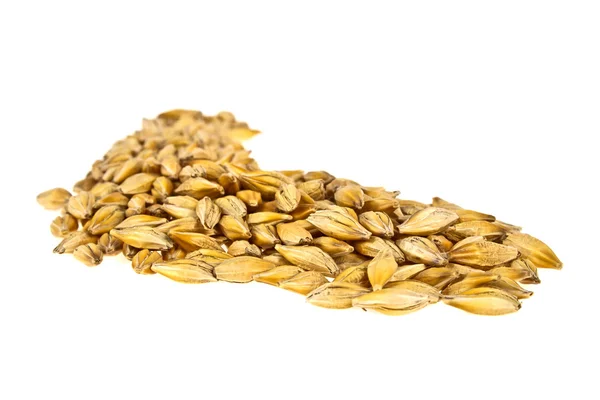 Gerst graan zaad geïsoleerd op een witte achtergrond, close-up — Stockfoto