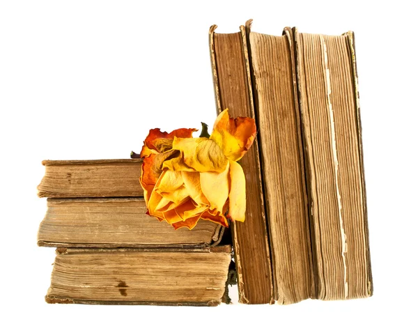Pilha de livros antigos e rosa desbotada em um fundo branco — Fotografia de Stock