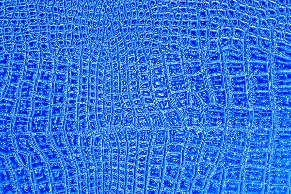 파란색 악어 패턴 배경 — 스톡 사진