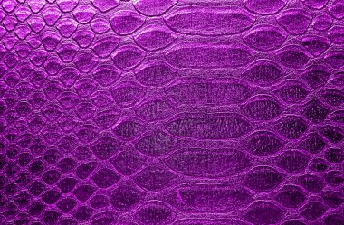 Snake skin, can use as background clipart