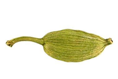 Kakuleden bakla beyaz arka plan üzerinde kapat