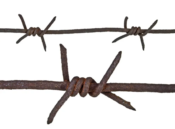 Rusty barbed wire on white background — Stock Photo, Image