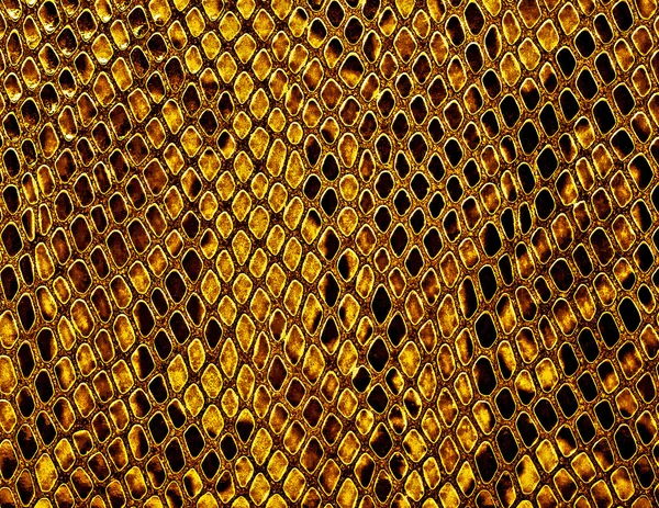 Κίτρινο φίδι δέρμα φόντο — Φωτογραφία Αρχείου