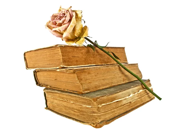 Livros antigos e rosa desbotada em um fundo branco — Fotografia de Stock