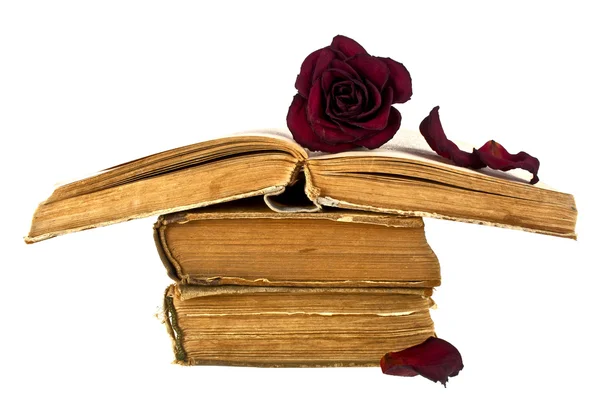 Livros antigos e vermelho desbotada rosa em um fundo branco — Fotografia de Stock