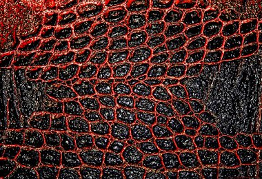 Karanlık timsah desenli arka plan