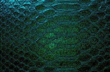 Deri yılan, arka plan olarak kullanabilirsiniz