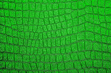 Altın timsah desenli arka plan 