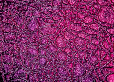 Mor timsah deri abstract, arka plan olarak kullanabilirsiniz