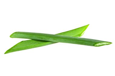 Doğranmış yeşil soğan ot izole üzerinde beyaz arka plan