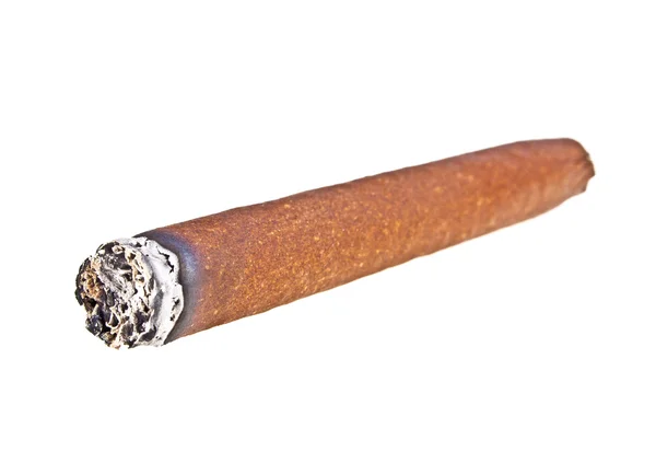 Brown cigar burned on white background — Stock Photo, Image