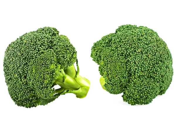 Świeże brokuły izolowane na białym tle — Zdjęcie stockowe