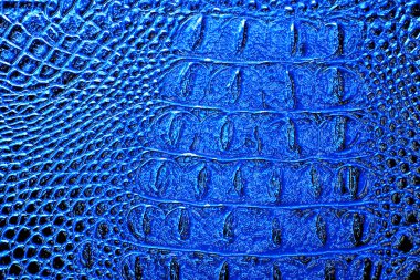 Timsah derisi doku arkaplanı