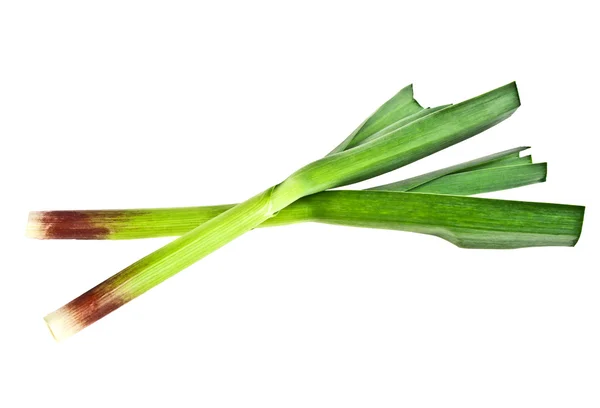 Mladý zelený česnek listy izolované na bílém pozadí — Stock fotografie