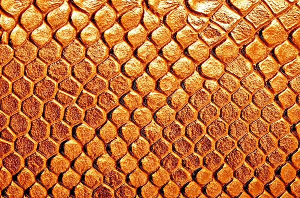 Brown snake skin, can use as background — Stockfoto