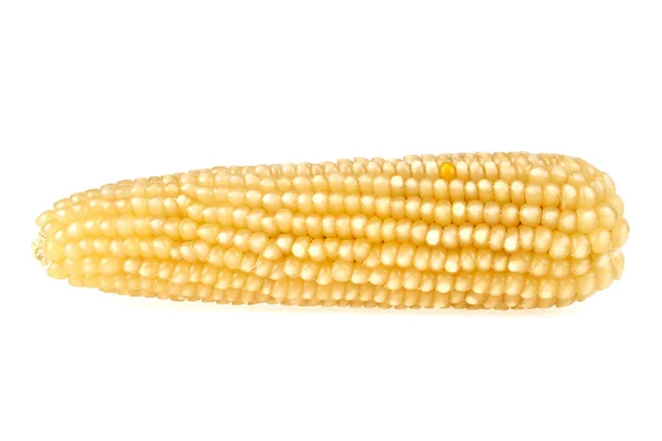 Ухо кукурузы изолированы на белом фоне, кукуруза для поп-кукурузы — стоковое фото