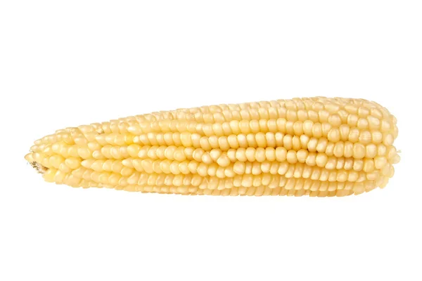 Ear of corn isolated on white background, corn for pop corn — Stock Photo, Image