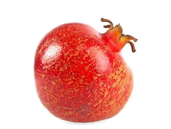 Pomegranate isolated on a white background — Stock Photo, Image