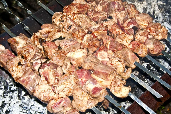 Shashlik a la parrilla en la barbacoa, carne asada, pinchos de carne, púbico — Foto de Stock