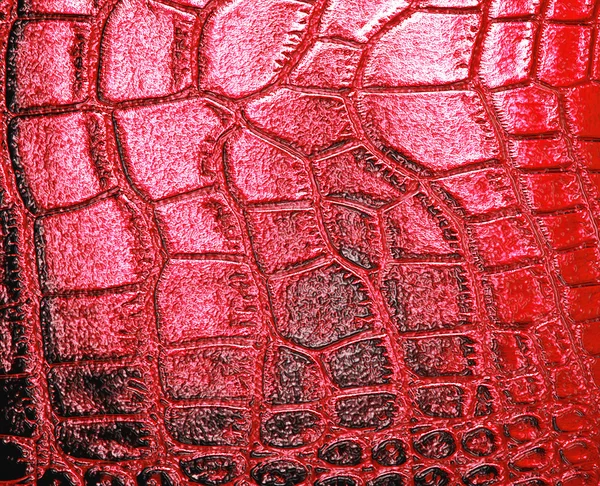 Red crocodile leather, can use as background — Stock Photo, Image