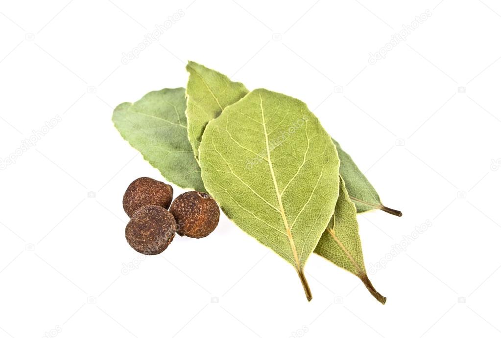 Dried bay leaf and peppercorns on white background
