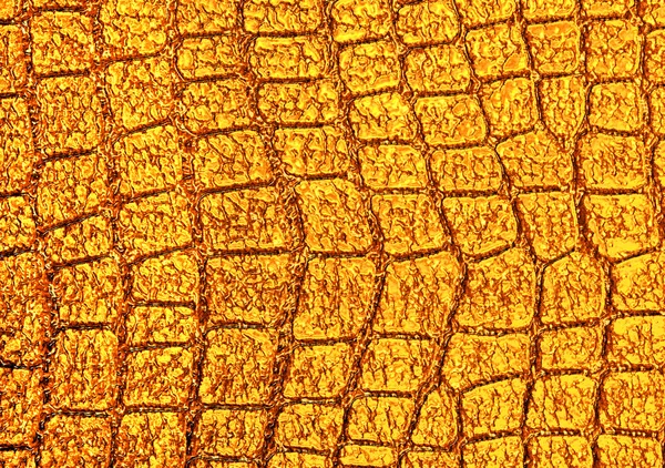Alligator jaune fond à motifs — Photo