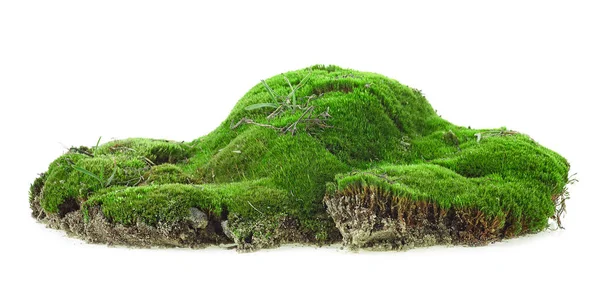 Мокрый Зеленый Холм Белом Фоне Зеленый Мох Травой — стоковое фото