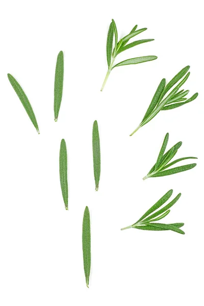 Rosemary Twigs Leaves Isolated White Background Top View — Stock Photo, Image