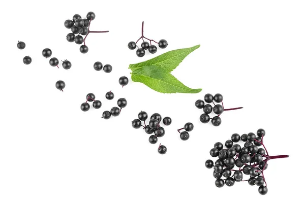 Twigs Elderberries Green Leaves Isolated White Background Top View Sambucus — Stock Photo, Image