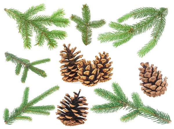 Set Fir Tree Branches Pine Cones Isolated White Background Christmas — Stock Photo, Image