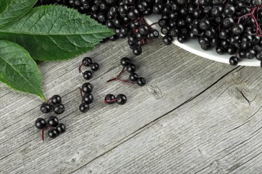 Seramik bir kasede, ahşap masada taze mürver. Olgun böğürtlenleri iyileştiriyor..