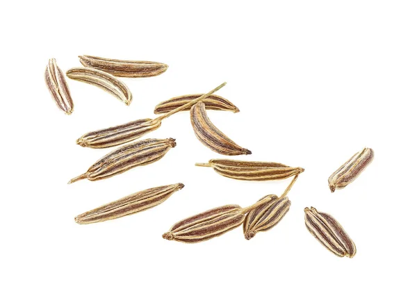 Macro Image Cumin Seeds Isolated White Background Caraway Seeds — Stock Photo, Image