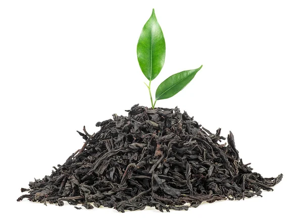 Pile Dried Black Tea Fresh Green Leaves Isolated White Background — Stock Photo, Image