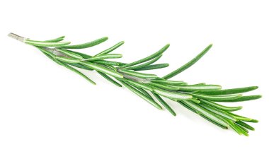 Beyaz arka planda izole edilmiş taze biberiye karışımı. Biberiye dalı.