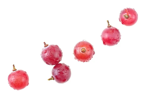 Bovenaanzicht Van Rode Druiven Geïsoleerd Een Witte Achtergrond Inzameling Van — Stockfoto