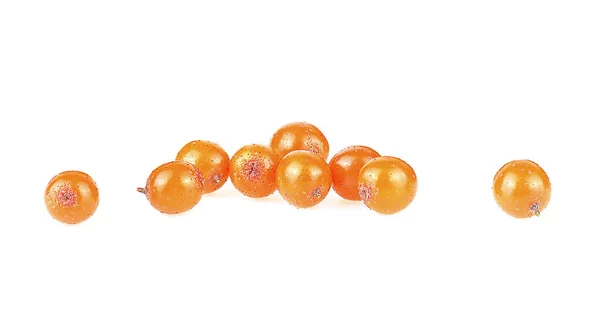 Sea Buckthorn Berries Isolated White Background Front View Hippophae Rhamnoides — Stock Photo, Image