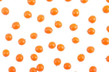 Dikenli deniz. Olgun böğürtlenler beyaz arka planda izole, üst manzara.