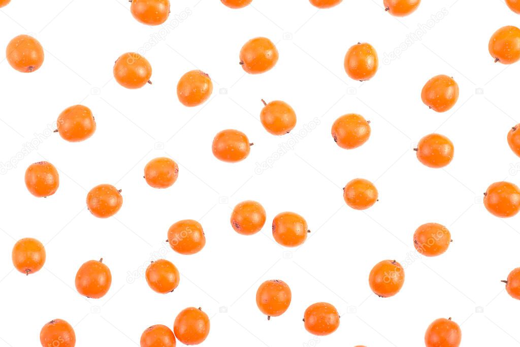 Sea buckthorn. Ripe berries isolated on a white background, top view.