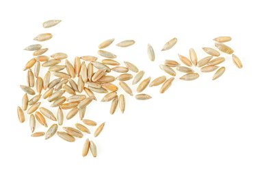 Healthy grains and cereals. Raw rye grains isolated on a white background, top view.