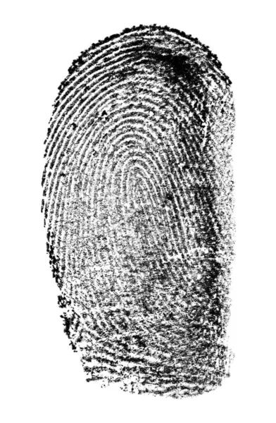 Black Fingerprint Isolated White Background Identification Symbol Technology Concept — Stock Photo, Image