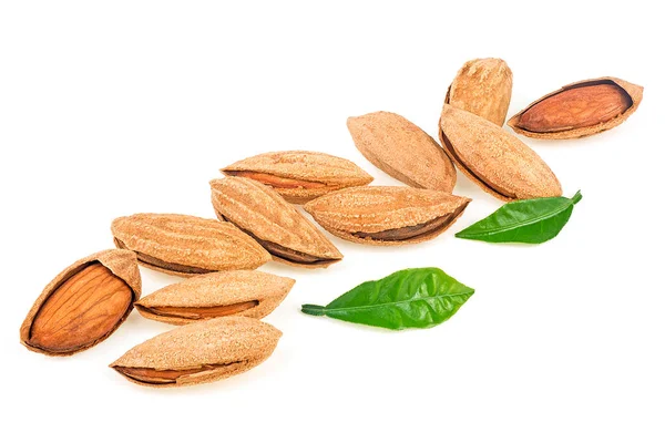 Nueces Almendra Con Hojas Verdes Aisladas Sobre Fondo Blanco Almendras —  Fotos de Stock