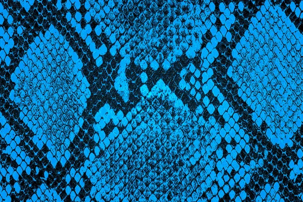 Blaue Schlangenhaut Hintergrund Blaues Pythonleder Als Hintergrund — Stockfoto