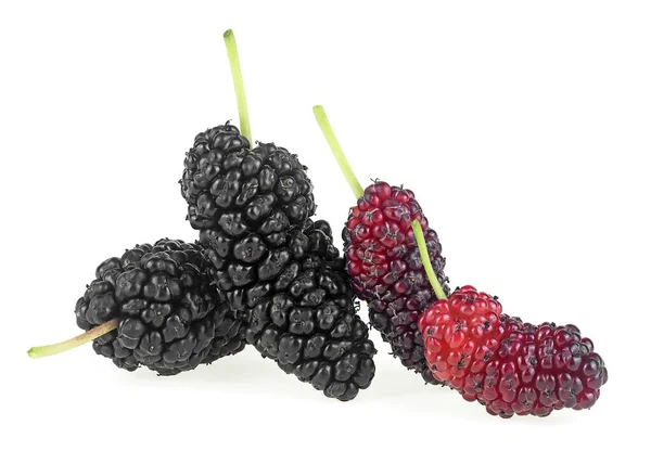 Sweet Mulberries Isolated White Background Fresh Berries — Stock Photo, Image