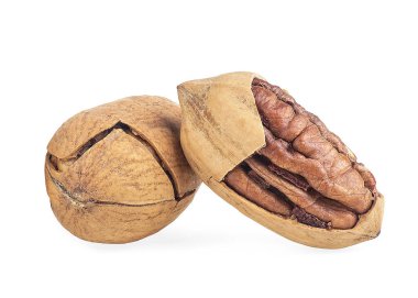 Beyaz arka planda izole edilmiş taze fındıklar. Tam ve çatlak cevizler..