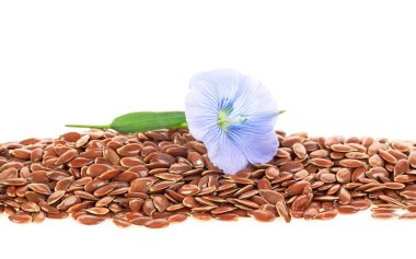 Beyaz arka planda izole edilmiş kurumuş keten tohumu ve keten çiçeği yığını.