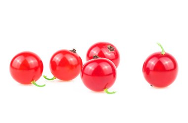 Beyaz bir arka planda taze taze kırmızı frenk üzümü izole edilmiş.