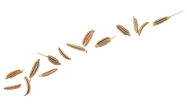 Sušené Kmín Semena Izolované Bílém Pozadí Horní Pohled Makro Semena — Stock fotografie