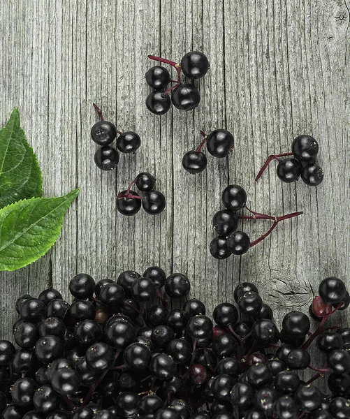 Top View Black Elderberry Green Leaves Wooden Desk European Black — Stock Photo, Image