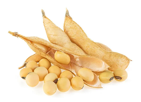 건강에 식물성 콩꼬투리는 배경에 놓았다 식품을 단백질 — 스톡 사진