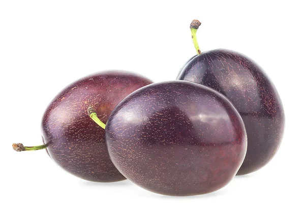 Tiga Plum Segar Diisolasi Pada Latar Belakang Putih Plum Ungu — Stok Foto